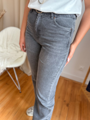 Artus jean flare gris
