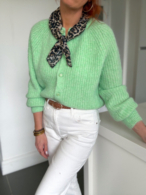 Adrien gilet vert glow