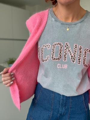 Iconic tee shirt gris